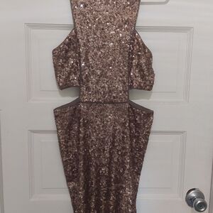 Express Champagne Sequin Dress